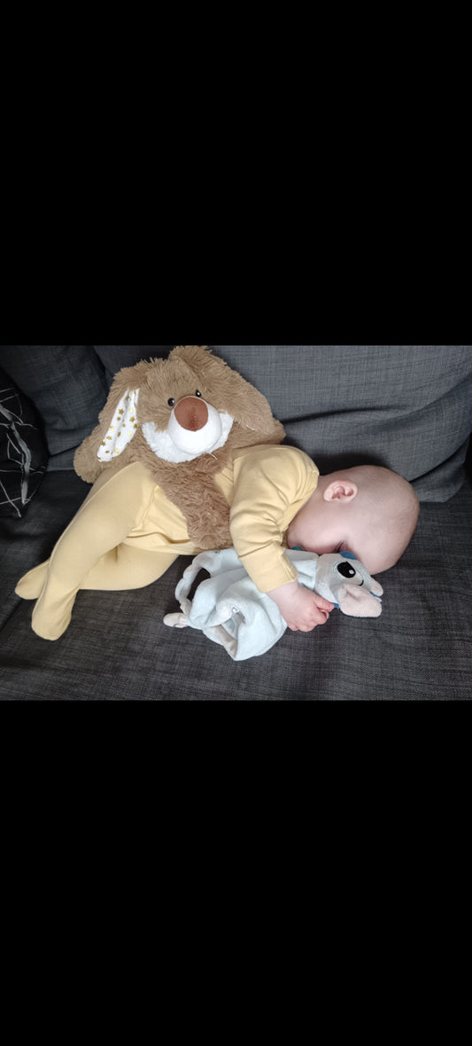 Lapin étoilé bouillotte