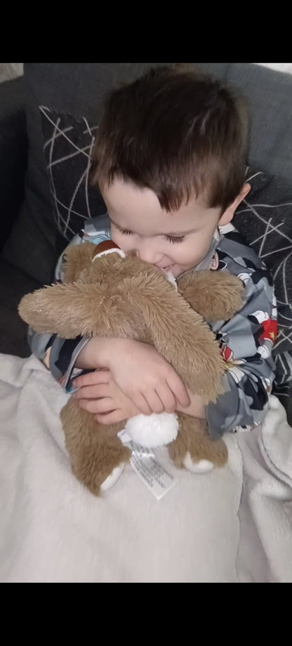 Lapin étoilé bouillotte