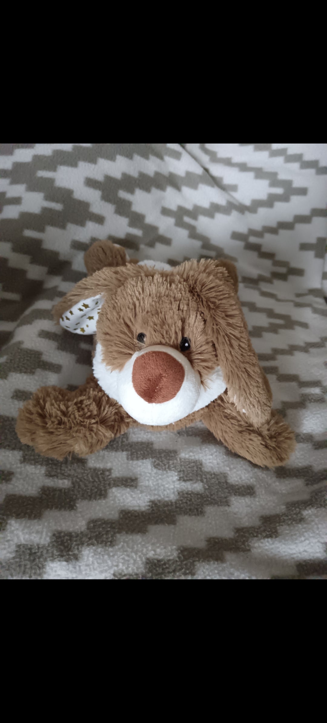 Lapin étoilé bouillotte